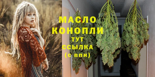 индика Зерноград