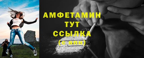 ПСИЛОЦИБИНОВЫЕ ГРИБЫ Инта