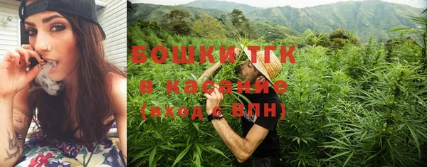индика Зерноград