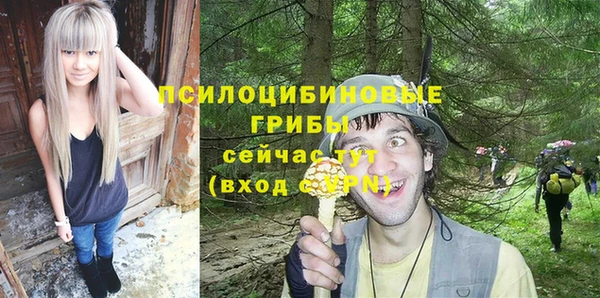 a pvp Зеленокумск