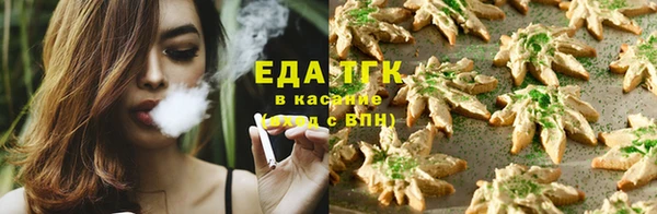 ПСИЛОЦИБИНОВЫЕ ГРИБЫ Инта