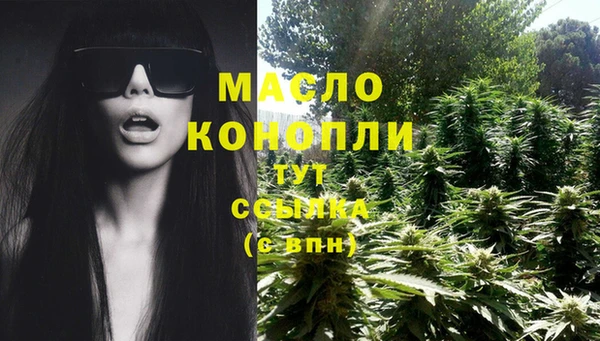 индика Зерноград