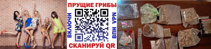 Псилоцибиновые грибы Magic Shrooms Купить Карачев