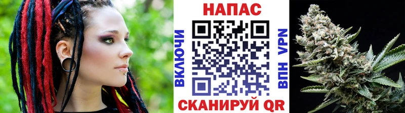 Купить закладки  Карачев  Бошки марихуана Bruce Banner 